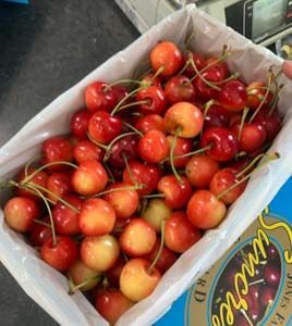 big box full of white cherries to be sold online and posted across nz