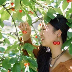 lady with cherry earings picking cherries